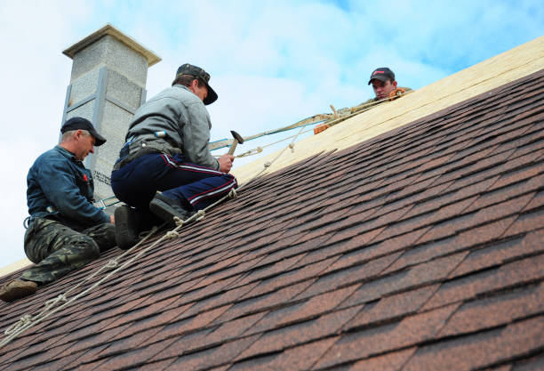 Best Slate Roofing Contractor  in Anoka, MN
